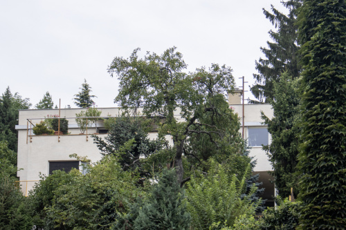 Dom dr. Weila. Prvá republika. Mišíkova ulica. Zdroj info - register-architektury.sk