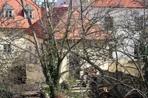 Meštiansky dom. Pôvodne 14.-15. storočie. Kapitulská ulica. Zdroj info - PÚ SR