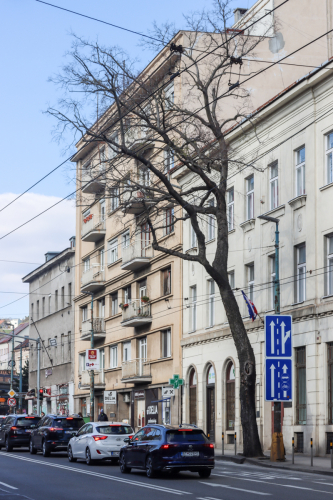 Štefánikova ulica.