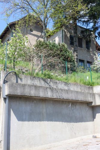 Vlčkova ulica.